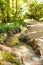 Fast-flowing forest waterfall flowing through rocks and stones surrounded by trees