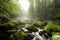 Fast-flowing forest waterfall flowing through rocks and stones surrounded by trees