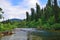 Fast flowing mountain river among dense forests and huge stones