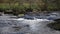 Fast flowing Rapids River , River Dart, Dartmoor, Devon,uk