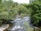 Fast-flowing River with Trees