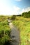 Fast Flowing Stream - Lassodie Natural Landscape