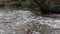 Fast flowing water, coming out of a small dam on the Leubeek river