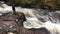 Fast flowing water - Isle of Skye - Scotland