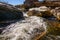 Fast flowing water in Sabino Creek