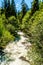 The fast flowing waters of Joffre Creek