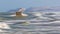 A fast flying seagull with the ocean in motion blur in the background.