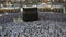 A fast forwarded of Muslim pilgrims perform evening prayer facing the black stone or Kaaba in Mecca, Saudi Arabia.