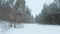 Fast maneuvering flight along the trail close to the ground in the winter forest in snowfall. Snowflakes fall right into