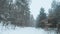 Fast maneuvering flight along the trail in the winter forest in snowfall. Snowflakes fall right into the camera