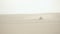 A fast military motorcycle riding through desert dunes