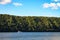 Fast motor boat rides on lake on background of forest in a sunny day.