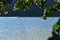 Fast motor boat rides on a lake, view through green leaves