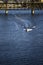 Fast motor boat speeds through the dark water of the river sailing under drawbridge across the Willamette River in Portland and