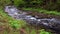 Fast mountain river flowing through forest. Fast mountain river stream