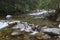 Fast mountain river in forest. Rackova valley, Western Tatras mountains.  Slovakia