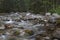 Fast mountain river in forest. Rackova valley, Western Tatras mountains.  Slovakia