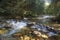 Fast mountain river in forest. Rackova valley, Western Tatras mountains.  Slovakia