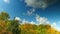 Fast-moving clouds over autumn deciduous forest with yellow foliage. Autumn forest