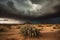 fast-moving storm cloud creating a mirage of a peaceful oasis in the desert