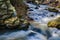 Fast Moving Water on a Wild Mountain Trout Stream