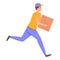 Fast parcel delivery icon, cartoon style