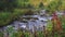 Fast river flows among rocks and bushes