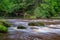 fast river in forest