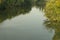 A fast river pisuerga with abundant vegetation on its banks