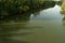 A fast river pisuerga with abundant vegetation on its banks