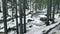 Fast river in winter forest. View of speedy brook flowing among boulders in wood