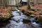 fast-running brook next to forest lodge