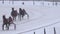 Fast running race horses with wheel cart rider on hippodrome in winter time. 4K