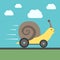 Fast snail with wheels