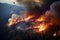 Fast-spreading wildfires and ecological catastrophes due to climate change and global warming