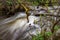 A fast stream in mountainous terrain. Water flowing in the river shown in a long exposure.