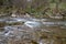 A fast stream in mountainous terrain. Water flowing in the river shown in a long exposure.