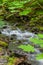 Fast streaming creek in Girdwood, Alaska, USA