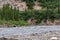 Fast streaming Nenana River in Denali Park, AK, USA