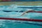 Fast swimmer motion blur