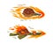 Fast turtles in flame set. Funny racing tortoise cartoon vector illustration