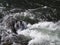 Fast water steam moving over a rock