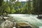 Fast water stream in mountain river with coniferous forest, Altai republic, Siberia, Russia. Beautiful scenery. Wildlife of the ta