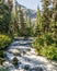 Fast water stream in wild mountain creek in Joffre Lakes Provincial Park green forest landscape.