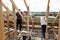 Fasteners and installation of roof rafters by workers. Preparation for laying slate. Construction and installation