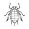 Fat aphid back view, voracious insect, parasite, agricultural pest, plant louse, black ink lines