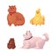 Fat, chubby cat, dog, chicken and hamster