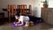 Fat man and pomeranian dog doing gymnastics for losing weight at home on mat on floor. Doing fitness with your dog. Overweight guy