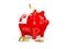 Fat piggy bank with flag of tonga