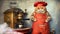 Fat red cat cook prepares coffee on a vintage retro coffee maker